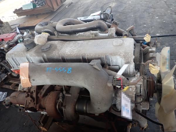 photo of KC-CYL51V2W