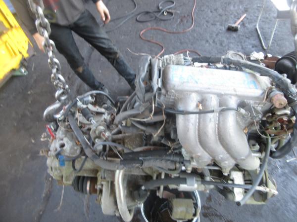photo of 