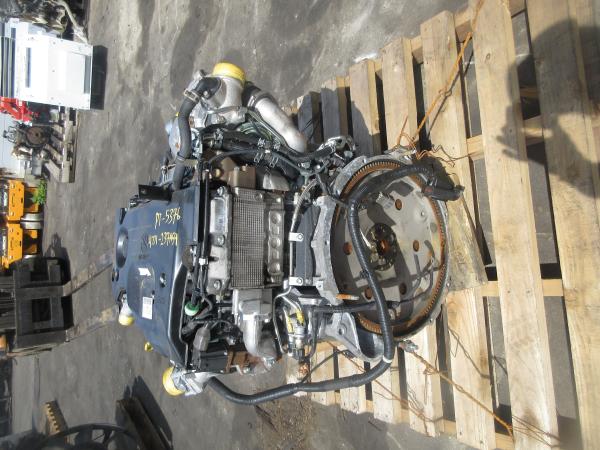 photo of 
